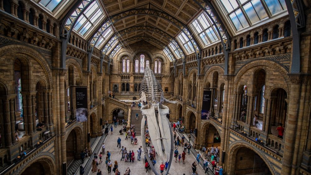 heritage orgs data main.jpg