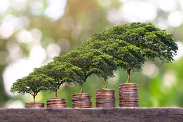 Ten ways to ensure your charity is sustainable