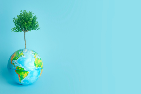 The latest trends in sustainability