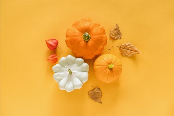 The best autumn fundraising ideas