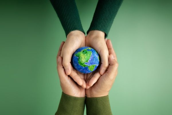 Charity Digital launches Climate Action Campaign