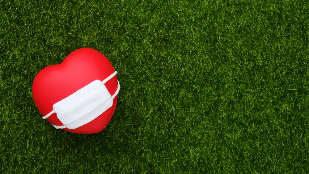 Lockdown, digitalisation, and fundraising - Main.jpg