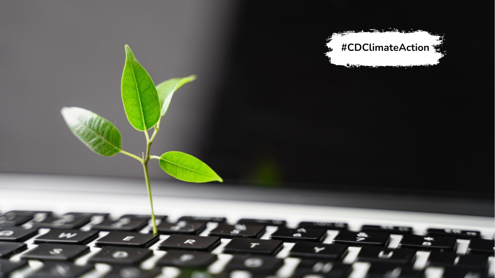 A plant growing between the keys on a laptop keyboard representing sustainable technology