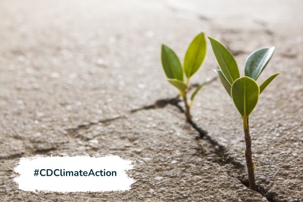 How small organisations can take action on climate change