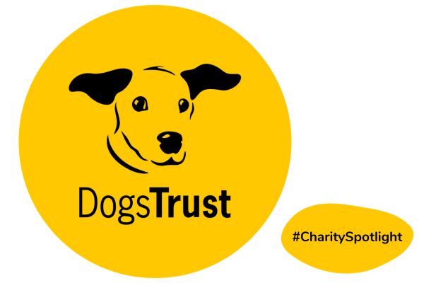 Charity Spotlight: James Elliot, Head of Digital Experience at Dogs Trust