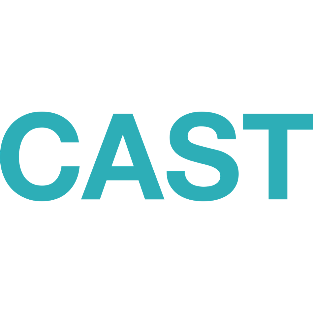 CAST - Charity Digital workshop speaker
