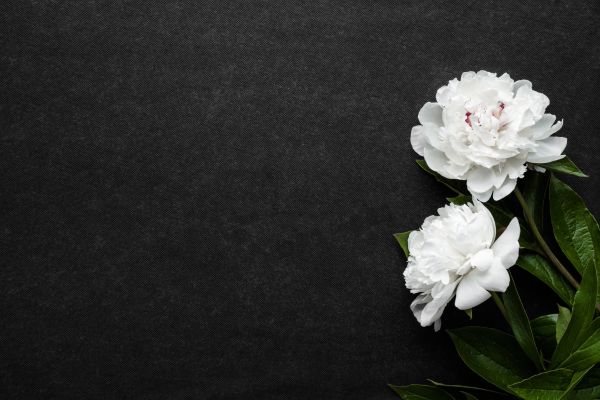 How to support employees through bereavement