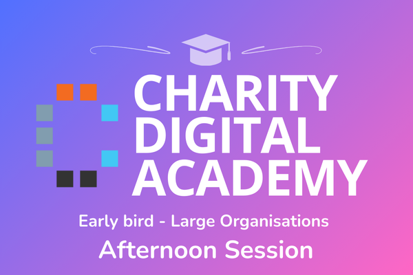 EARLYBIRD Charity Digital Academy: How to prepare for the future, Afternoon ticket for Large Organisations