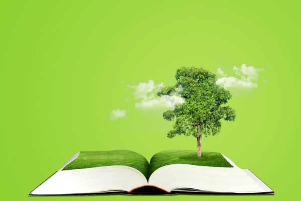 Top five books for climate campaigners