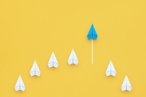 What charities need from an interim CEO