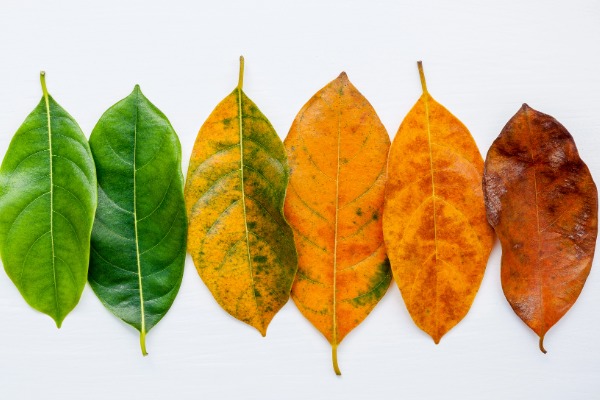 Why your charity should tackle ageism in the workplace