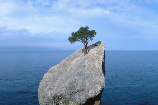 Building digital resilience: A practical guide for charities