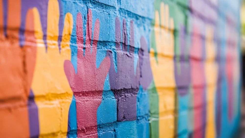 How to choose the right volunteer management system