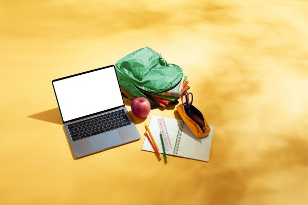 How children with disabilities experience digital exclusion