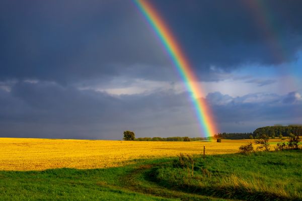 Everything you need to know about horizon scanning